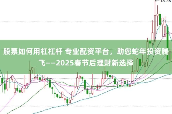 股票如何用杠杠杆 专业配资平台，助您蛇年投资腾飞——2025春节后理财新选择