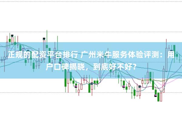 正规的配资平台排行 广州米牛服务体验评测：用户口碑揭晓，到底好不好？