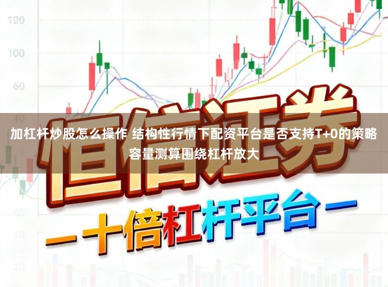 加杠杆炒股怎么操作 结构性行情下配资平台是否支持T+0的策略容量测算围绕杠杆放大