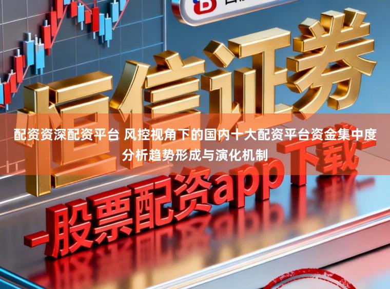 配资资深配资平台 风控视角下的国内十大配资平台资金集中度分析趋势形成与演化机制